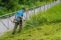 Вывоз несанкционированных свалок, мойка дорог, покос травы