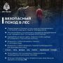 Лес - это не только красота, но и опасность!