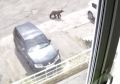 ���������� ����������� ������� �������� �� ������� ������������� ����������� �������
