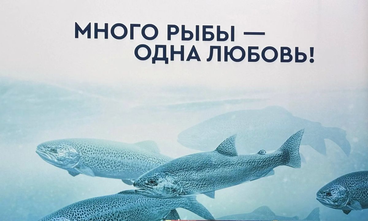 Российская рыбная продукция — в центре внимания МРФ-2026! Российская рыбная продукция — в центре внимания МРФ-2026!