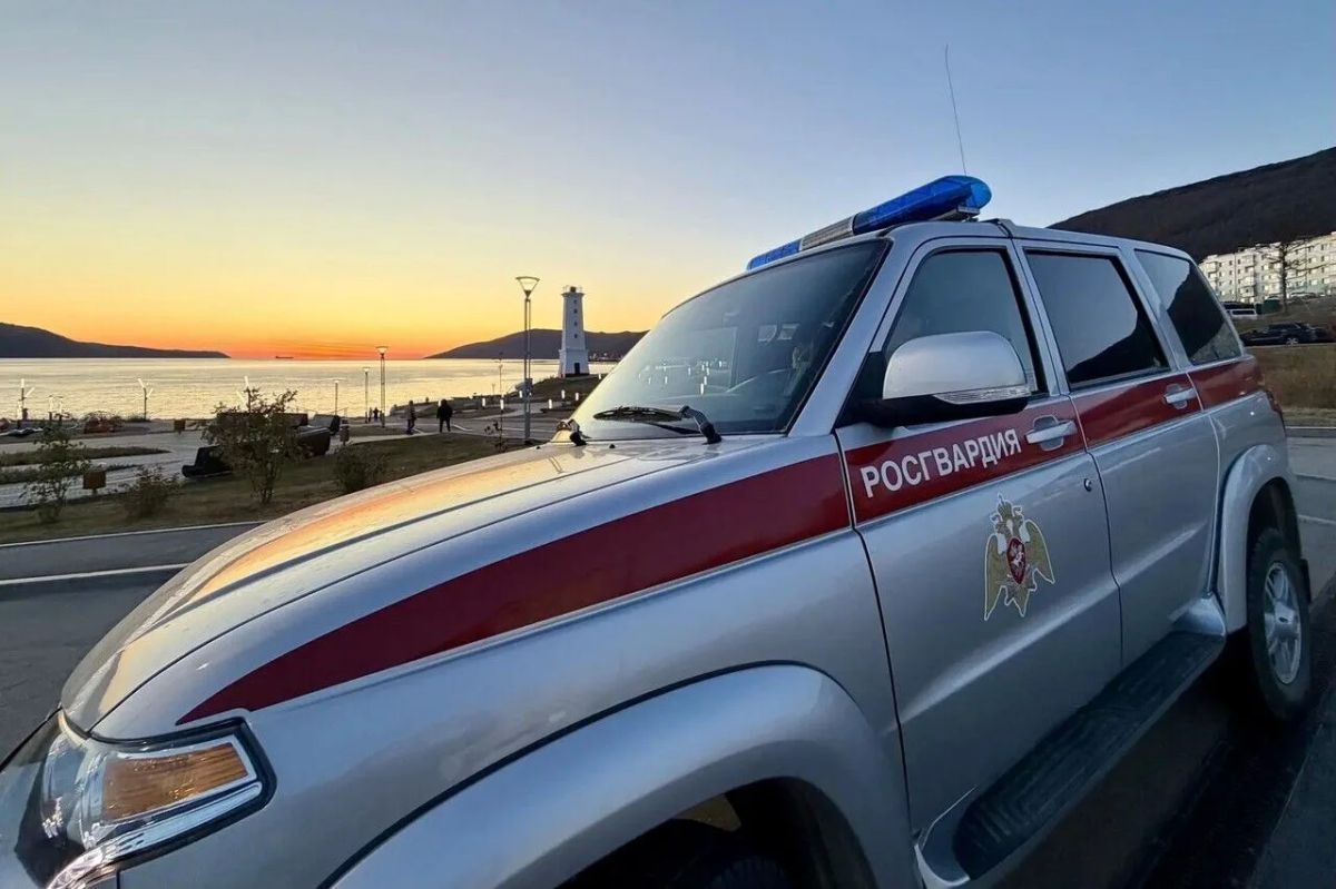 Росгвардейцы задержали колымчанина, повредившего фасад ночного клуба