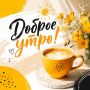 ����������� ��� ����! ����� ������ ������ ������������ ��� �������� ��������� �������