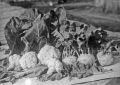 Первая сельскохозяйственная выставка прошла в 1933 году на Колыме