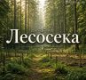 Прогуливаясь по лесу, мы обычно не задумываемся, что у разных его частей может быть своё официальное название и назначение