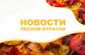 ТАСС: Патрушев поздравил работников лесной отрасли с профессиональным праздником