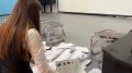 Олененок Сияна и мамонтенок Дима украсят Городской парк Магадана