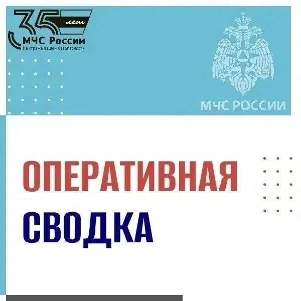 В Магаданской области за прошедшие сутки:
