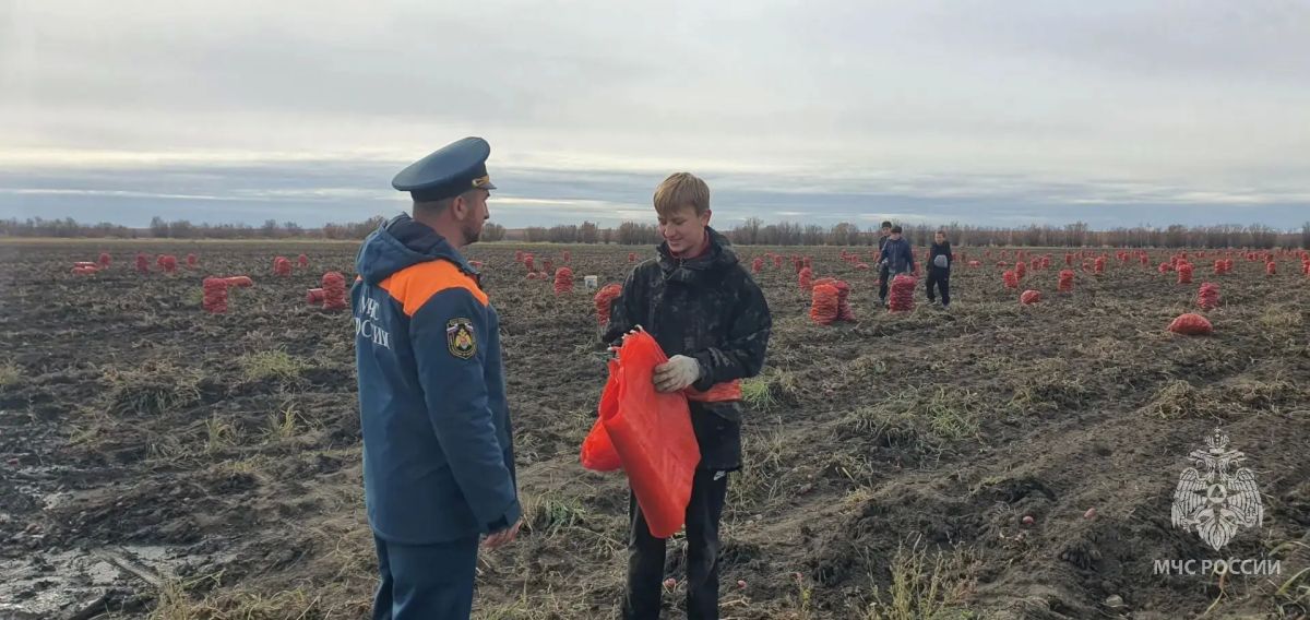Безопасность урожая на контроле: МЧС следит за уборочной кампанией Безопасность урожая на контроле: МЧС следит за уборочной кампанией