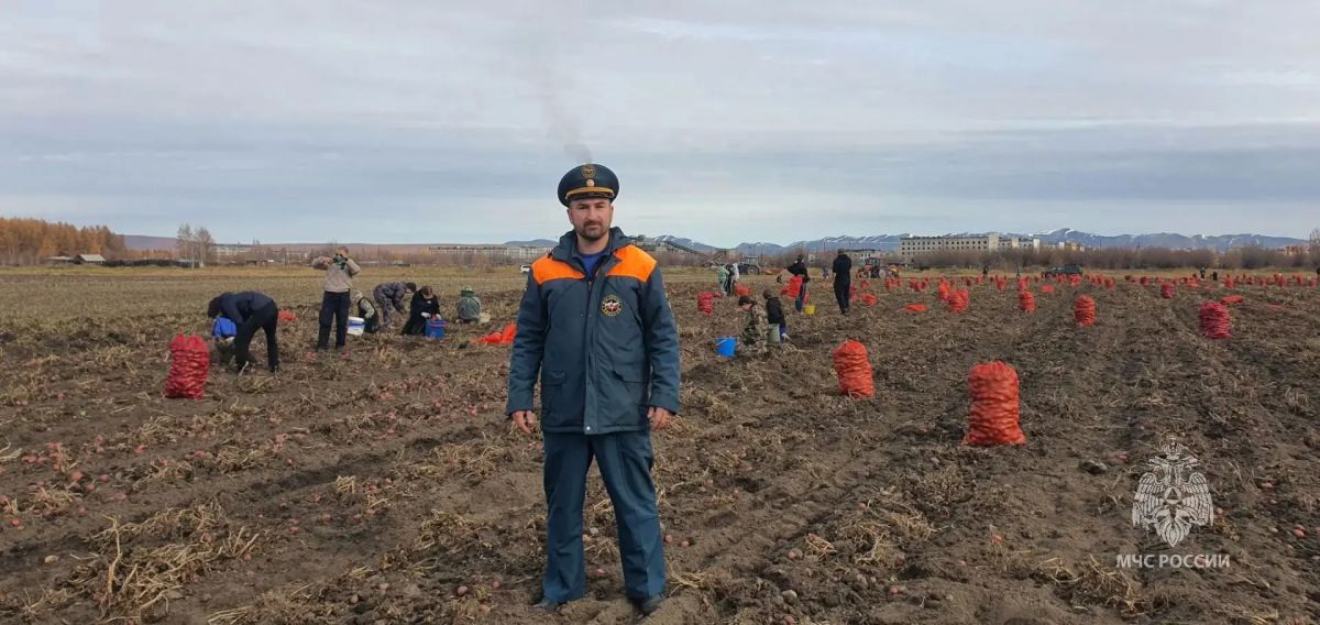Безопасность урожая на контроле: МЧС следит за уборочной кампанией Безопасность урожая на контроле: МЧС следит за уборочной кампанией