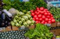 Заключительная ярмарка выходного дня под открытым небом пройдет в Магадане завтра, 26 сентября