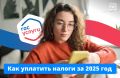 Налоговая уже рассылает уведомления: в них — суммы транспортного, земельного и имущественного налогов