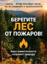 Правила пожарной безопасности в лесу