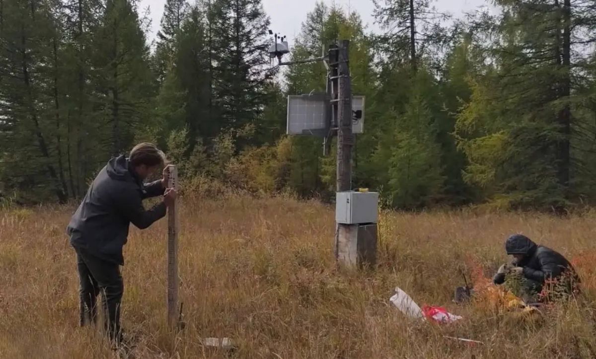 Вечная мерзлота и мутность рек — ученые и студенты работали в Магаданской области