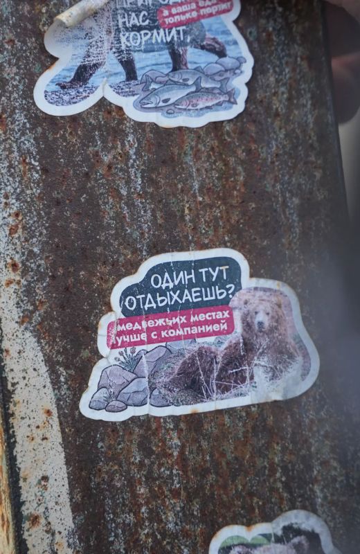 Природа постепенно готовится к зимнему покою, окрашиваясь в насыщенные золотистые оттенки Природа постепенно готовится к зимнему покою, окрашиваясь в насыщенные золотистые оттенки