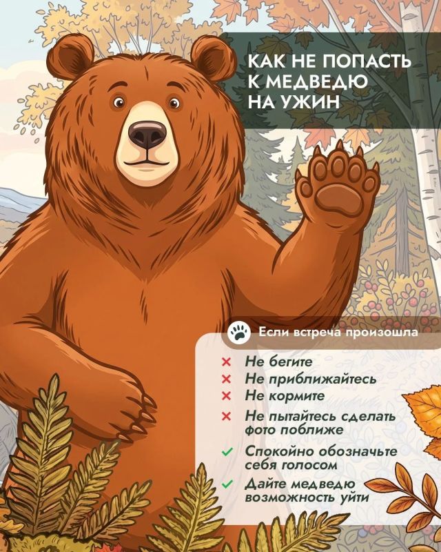 Почему осенью медведи оказываются рядом с людьми чаще? Почему осенью медведи оказываются рядом с людьми чаще?