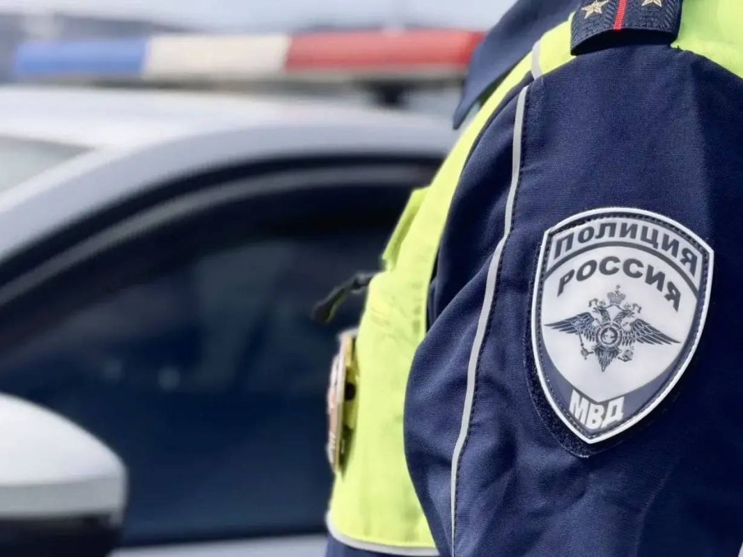 В Магадане сотрудники Госавтоинспекции устанавливают обстоятельства ДТП, в котором погибли лошади