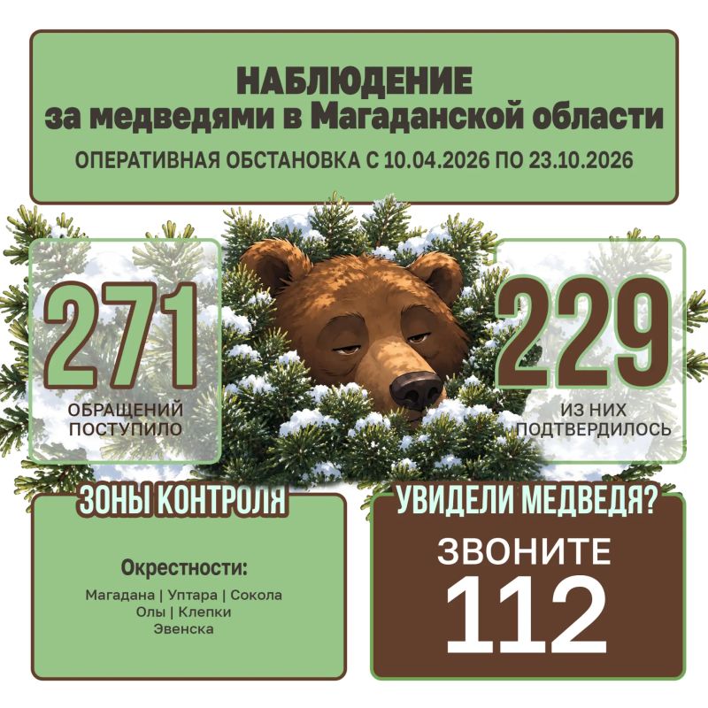 В региональное управление Госохотнадзора за неделю не поступило ни одного обращения о появлении медведей в районах населенных пунктов и туристических маршрутов