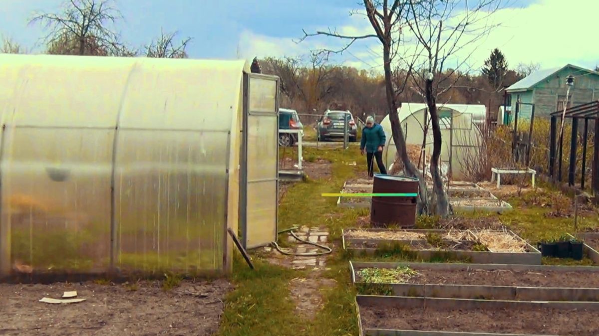 Старая теплица без хлорки: стоит ли мыть поликарбонат осенью