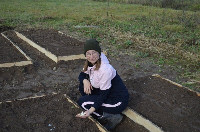 Как защитить озимый чеснок от морозов: советы опытных садоводов