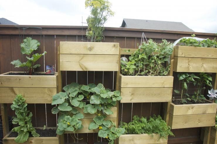 Вертикальные грядки: как создать пространство для урожая на ограниченном участке