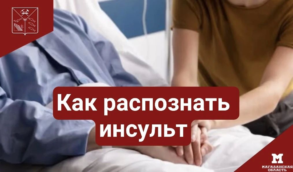 Важно знать: какие бывают виды инсульта и на что обратить внимание