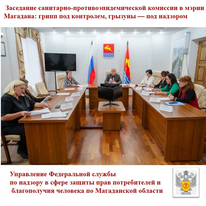 Заседание санитарно-противоэпидемической комиссии в мэрии Магадана: грипп под контролем, грызуны — под надзором