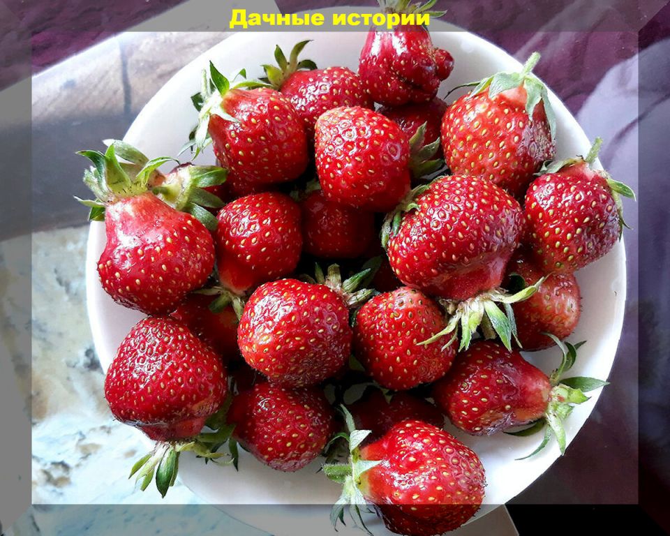 15 ������ �������� ��� �������� ��������� ����: ��� ������� ������