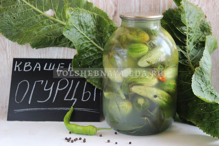 Заряженные вкусом: как квасить огурцы с зеленью и приправами на зиму