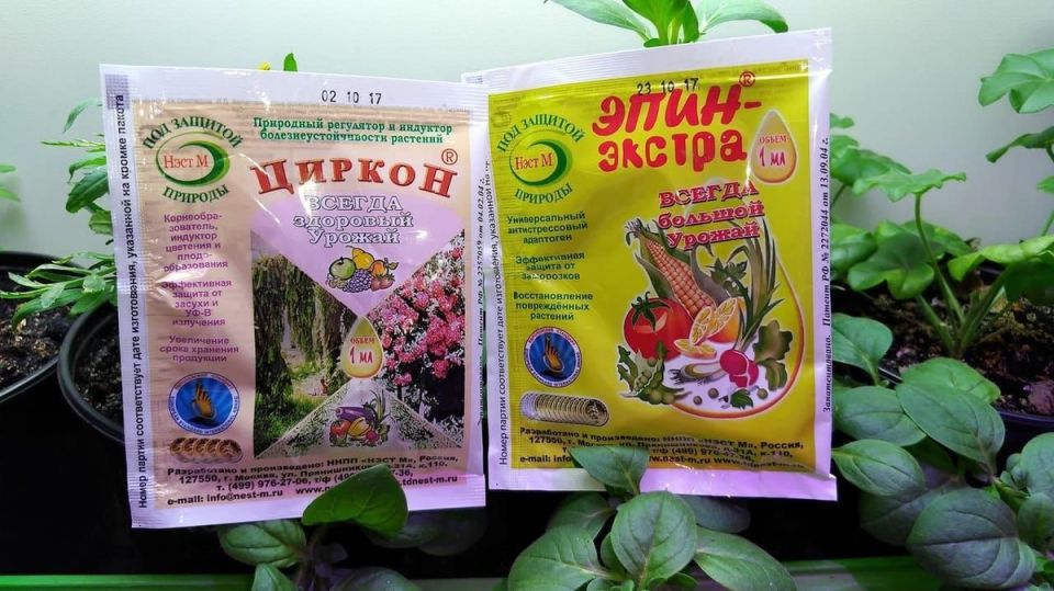 Как выбрать идеальный стимулятор для ваших растений: Эпин или Циркон?