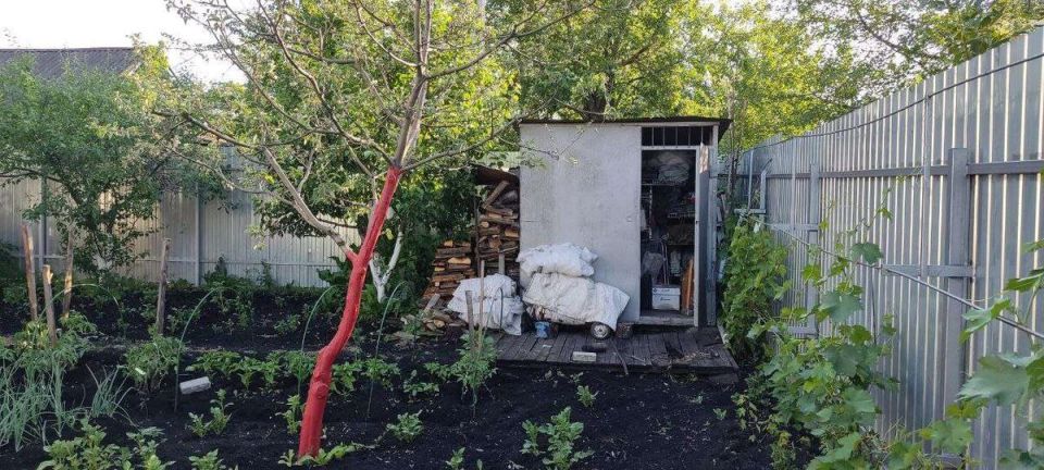 ����� ����� � �����������: ��� ��������� ��� ���������� ��������