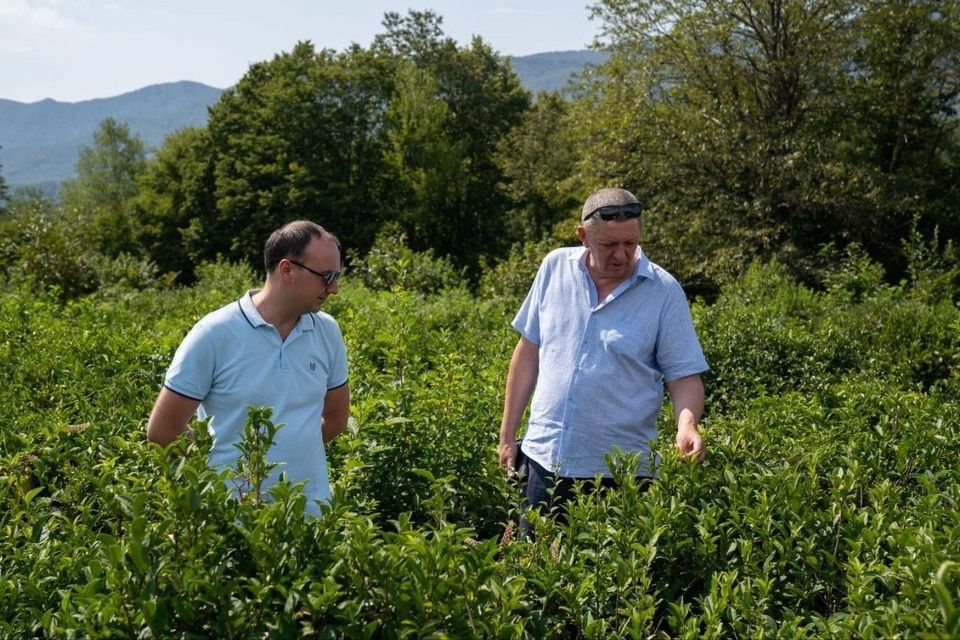 ������� ������������ ������: ������ 100 �� ������� ����� ��� ��� � ����������� ���������