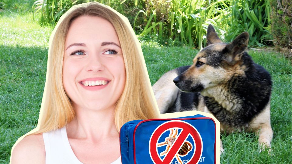 �������� ������� ������� �� ��������� ������: ����� ����� �������