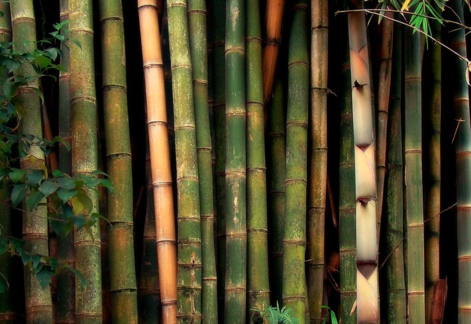 ������������ ������� ��������: ��� ������ � ���� �����?