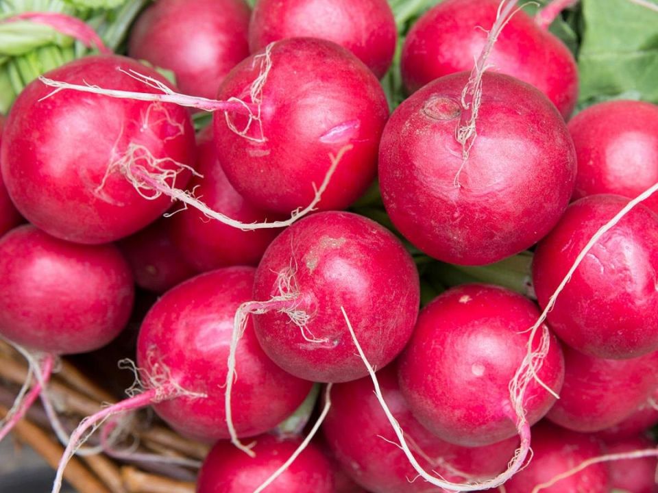 ��� ��������� ����� � ���� �������: ������� �������� �������