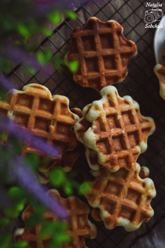 ��������� �����: �������� � ������ � ������ ������