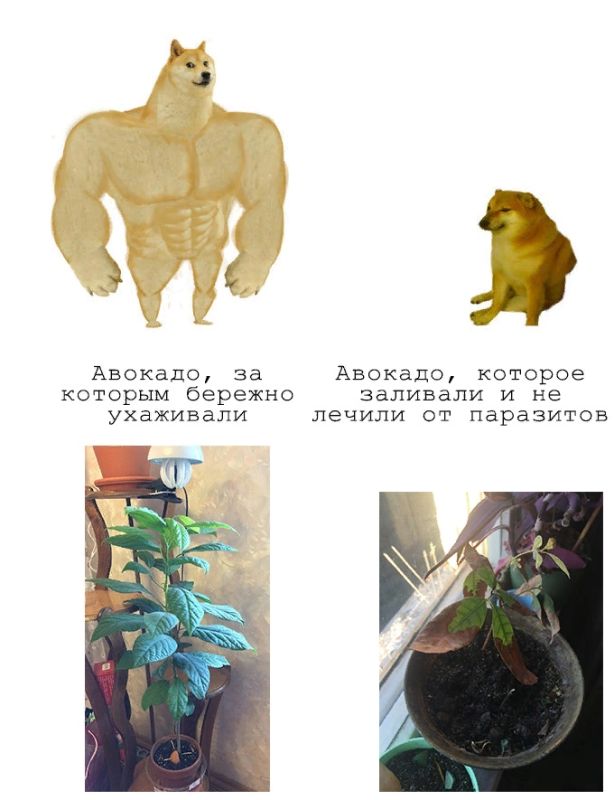 ������ ����� �������� ������ ����� �������� ������� ����?