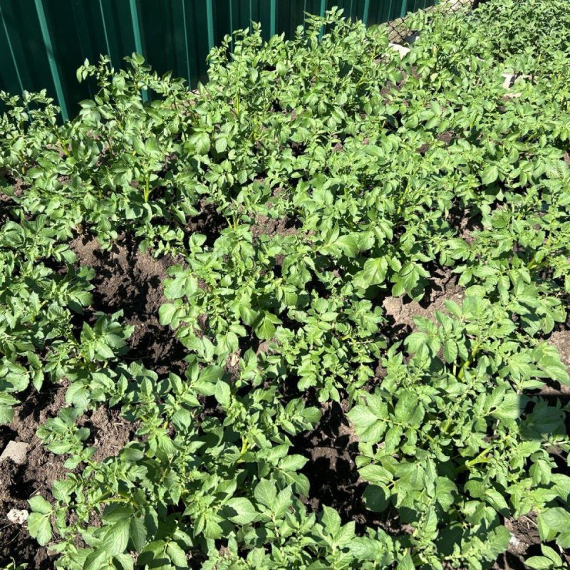 ��������� ��������� ����� ��������: ��� �������� ������ � �������� ������