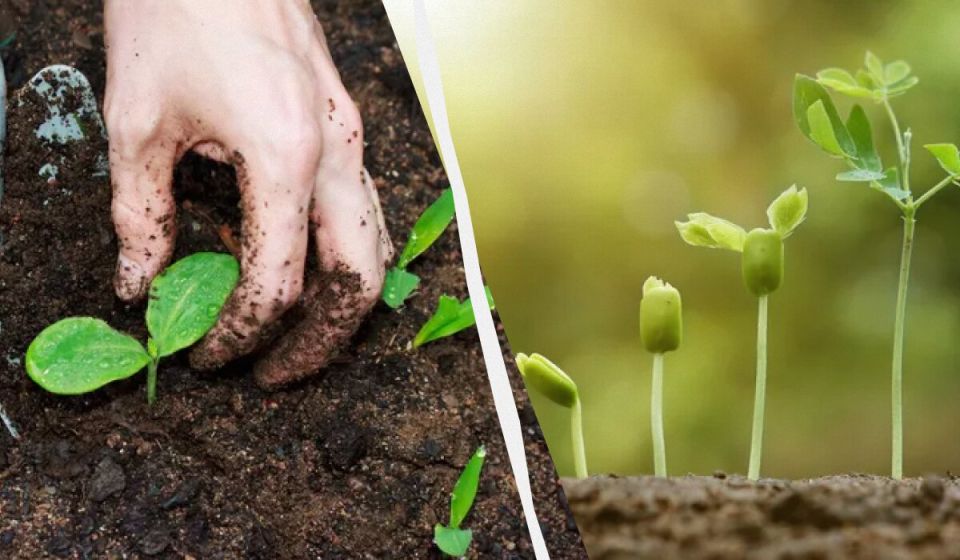 ������� ���������������: ��� ��������� ��������� �������� ��� ���������