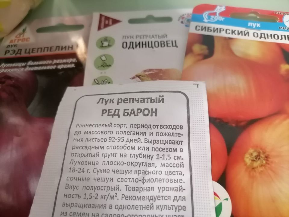 ����������� ��������� ����: �������� ������