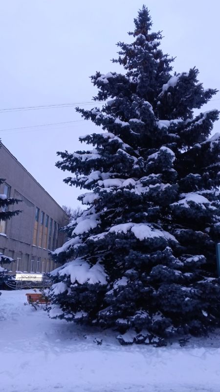 ������� ���������������: ��� �������� ���������� ���������� �� �����������