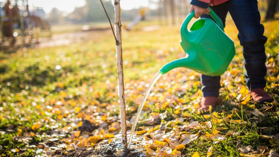 ����� �� ����� ����: ��� ��������� �������� ��� � ������