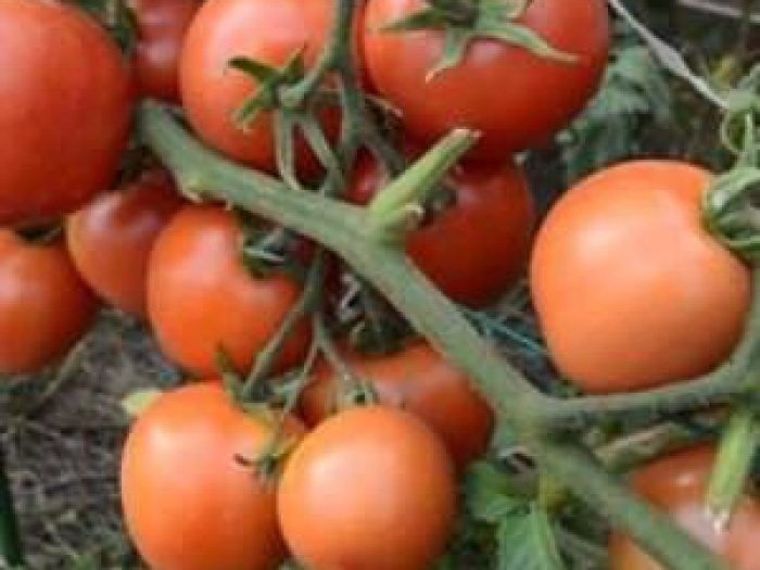 ����� ���������: ������������� ������ � �������� �������