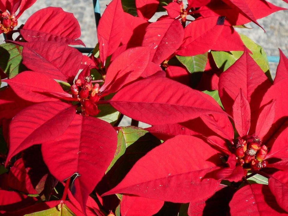 ���������� ����� � ���������� ������ ��-�� ������ ������ � ���������