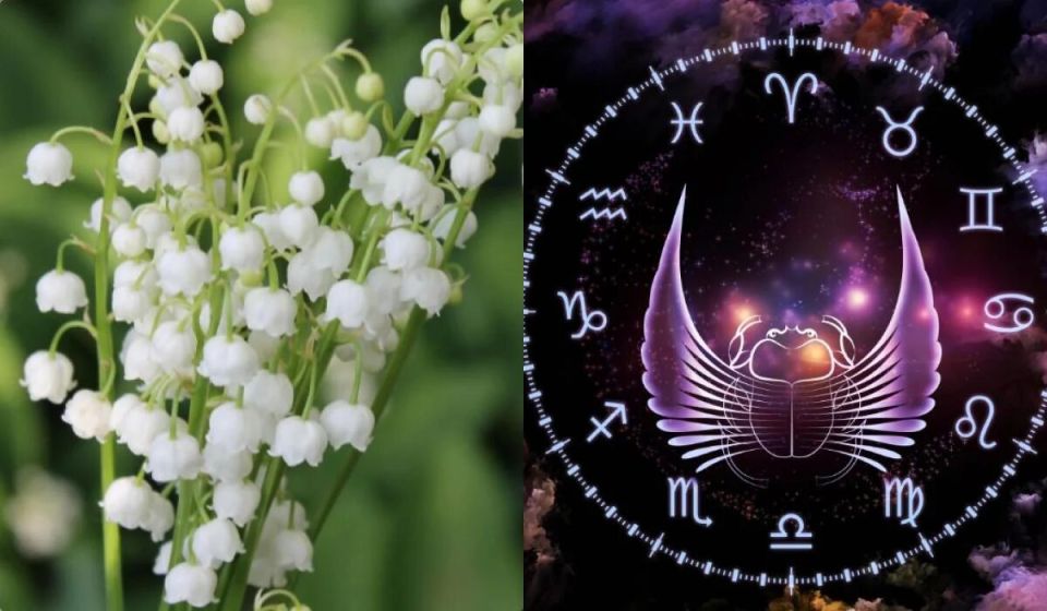 ����� ������ ������������� ������ ����� �������?