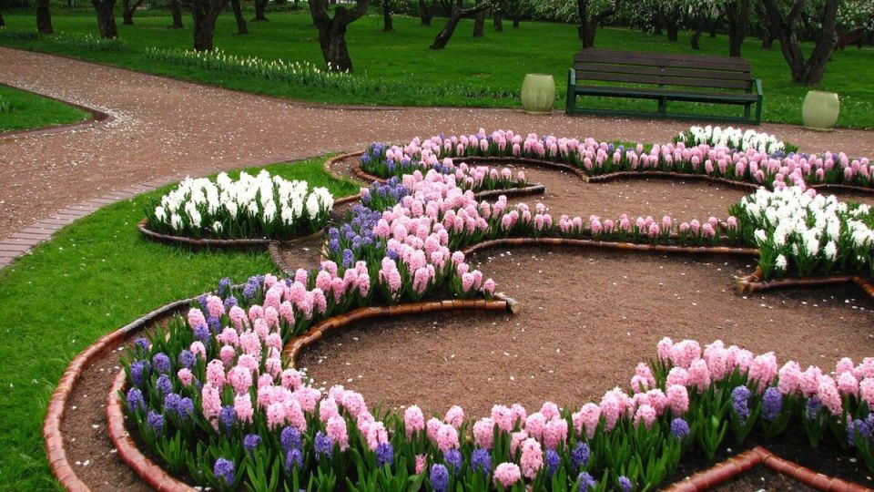 Как выбрать растения у подъезда: простые решения для уютного двора