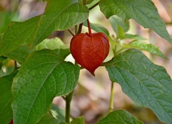 �������: ��������� ������� � ������ � ������ ��������