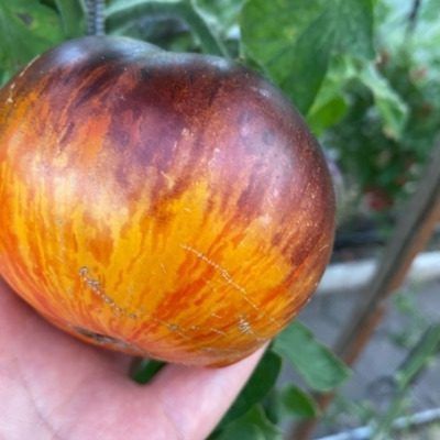 ����� ���������� �����: ������������� ���� � ����� �������� � ������� ������