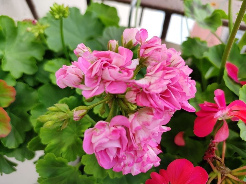 ��� ������� ������ �������� � ��������: ������� ��������� ����� �����