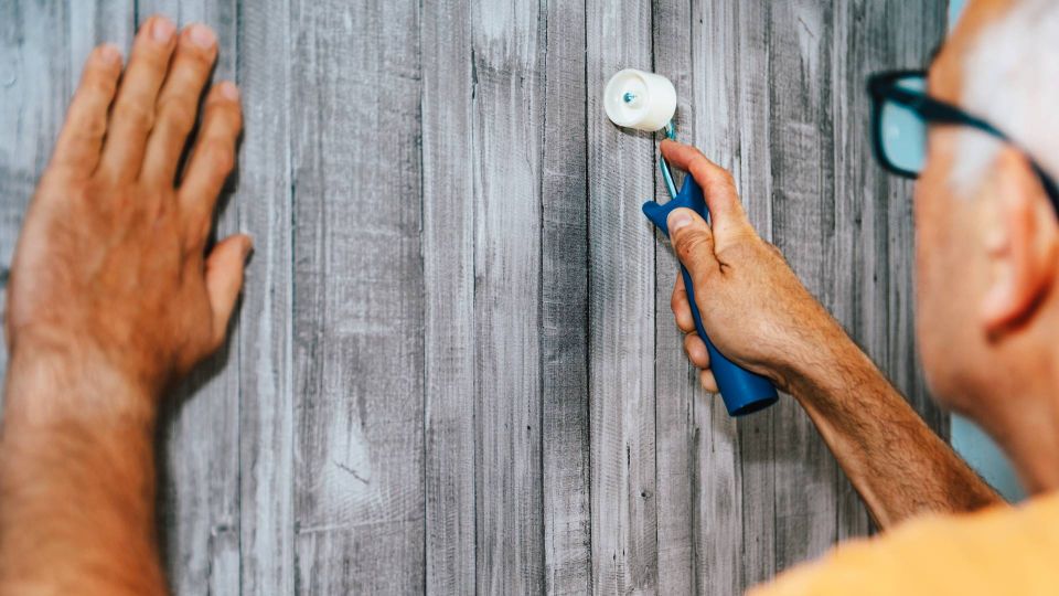 ���� ����� �� ���������� �� �����: ������� ������������ ��������