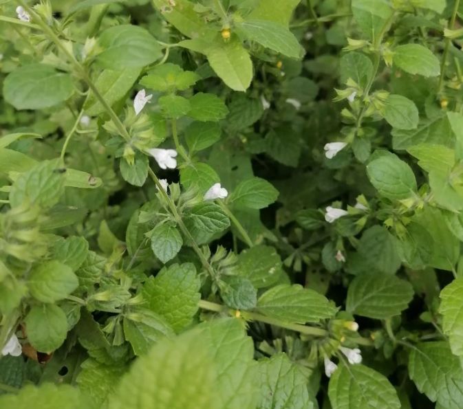 ��������� ����� � ������ ������: ��� ����� ���������